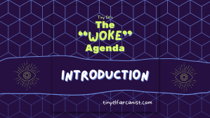 Dark indigo background with a pattern of isometric outlined cubes. The text "Tiny Elf's The 'Woke' Agenda" is at the top center in neon green letters. Under that in white letters says "Introduction". At the bottom "tinyelfarcanist.com" in white letters. A neon green illustration of an eye in an esoteric style is at every side.